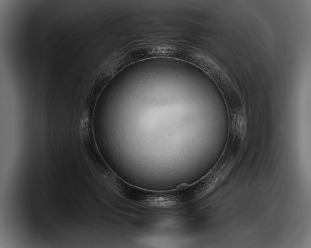 X0000097960557200803241216