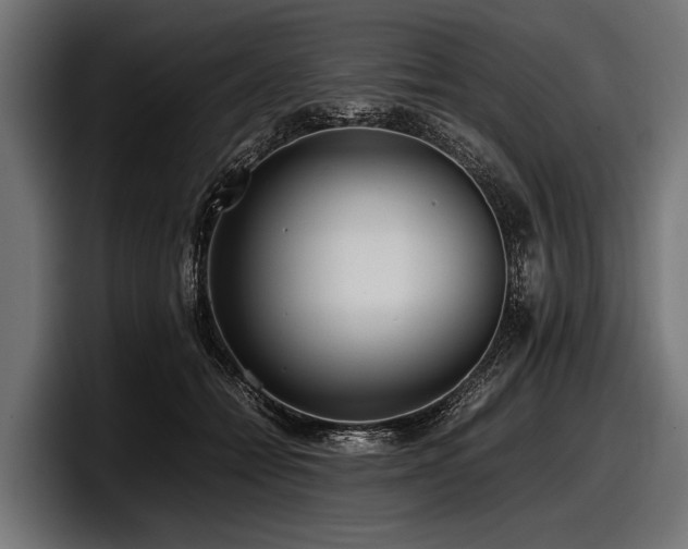 X0000097960558200803241216