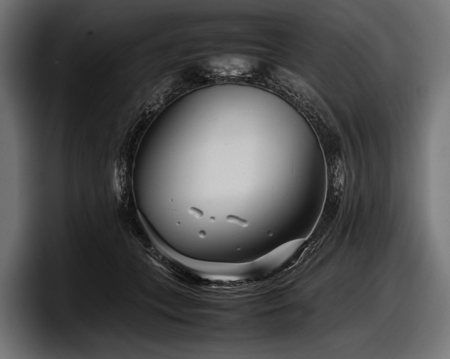 X0000097960559200803241216