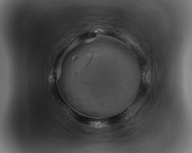 X0000097960561200803241216
