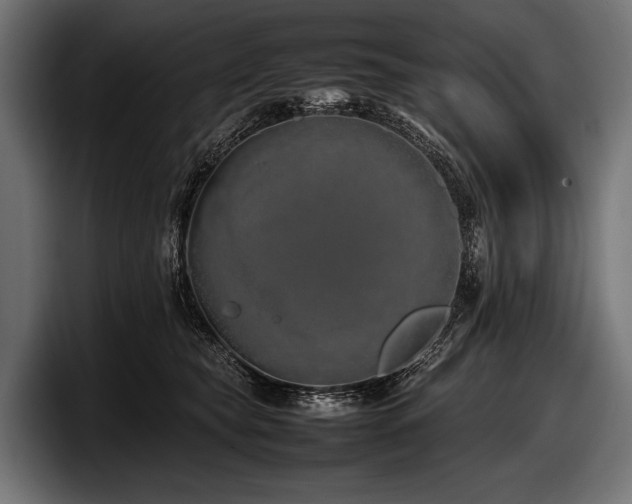 X0000097960565200803241216