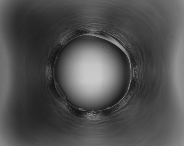 X0000097960568200803241216