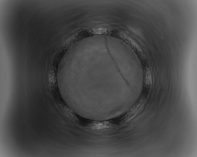 X0000097960569200803241216
