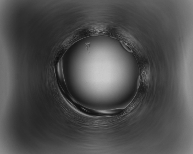X0000097960570200803241216