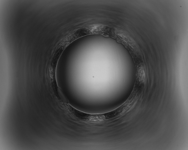 X0000097960571200803241216