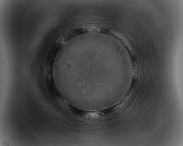 X0000097960573200803241216