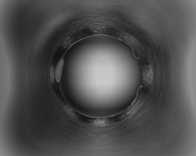 X0000097960574200803241216