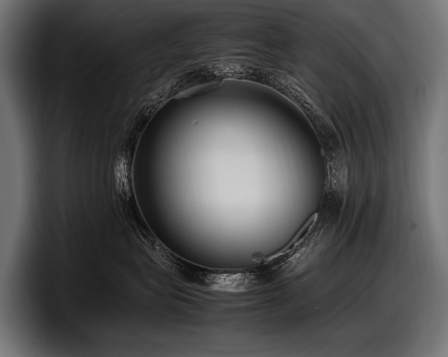 X0000097960575200803241216