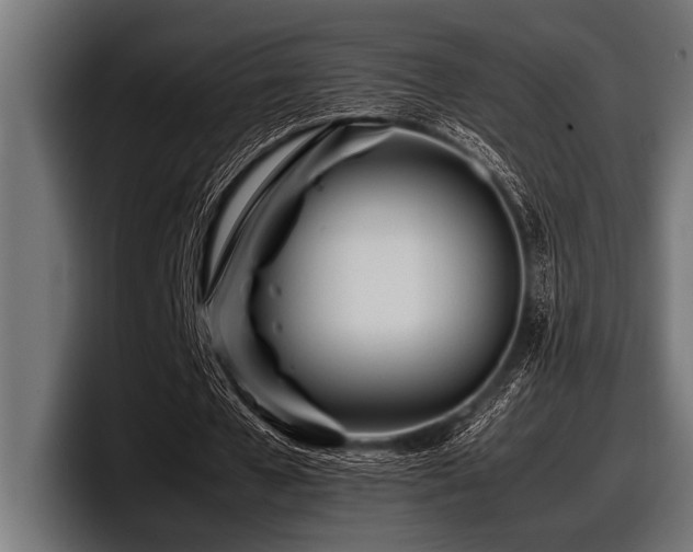 X0000097960577200803241216