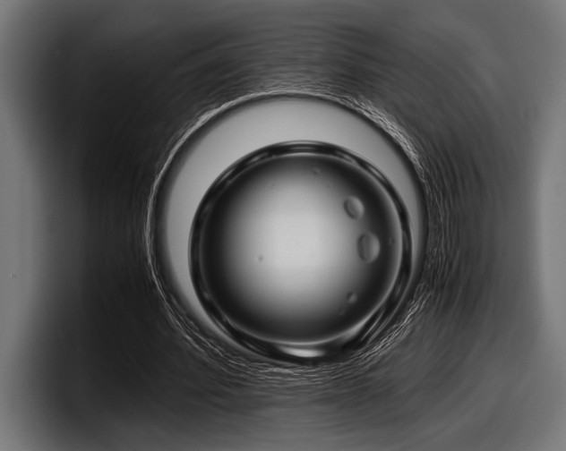 X0000097960580200803241215