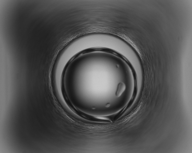 X0000097960581200803241215