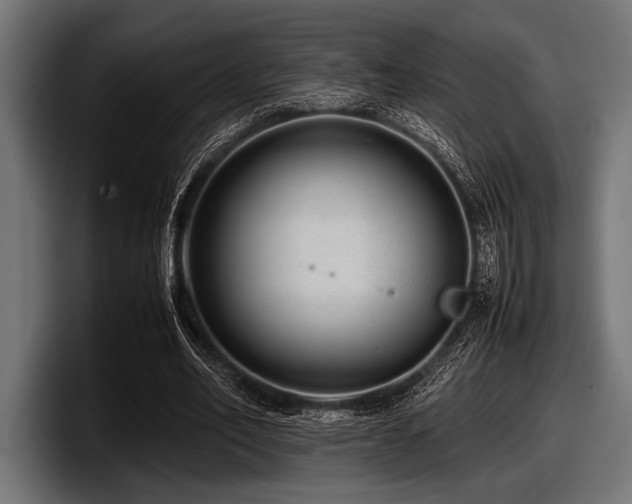 X0000097960582200803241215
