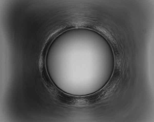 X0000097960583200803241215