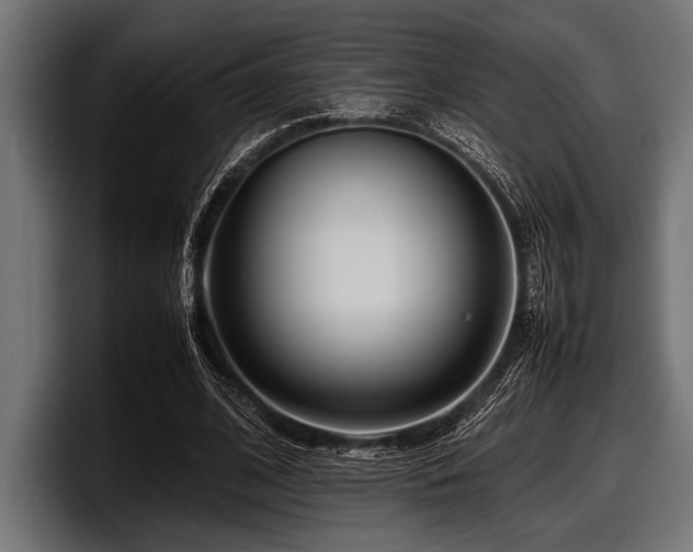 X0000097960584200803241215