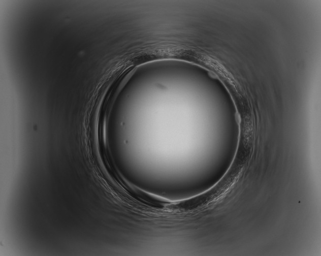 X0000097960585200803241215