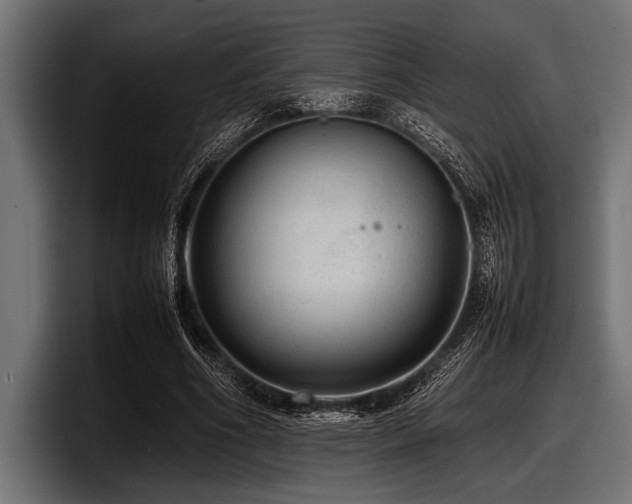 X0000097960586200803241215