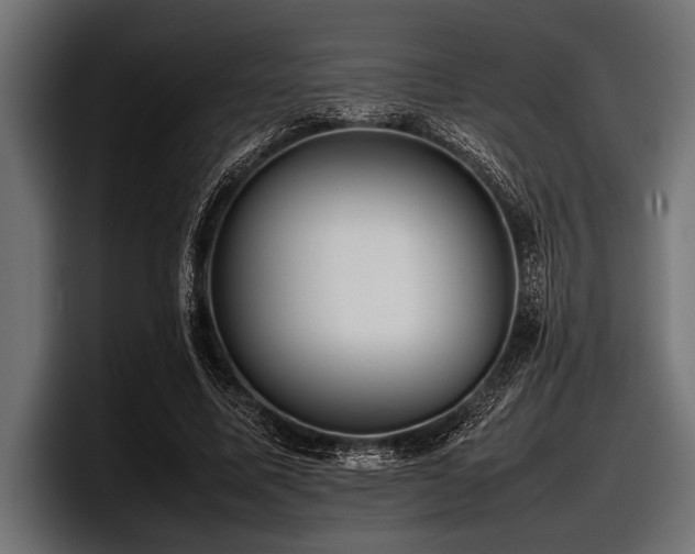 X0000097960587200803241215