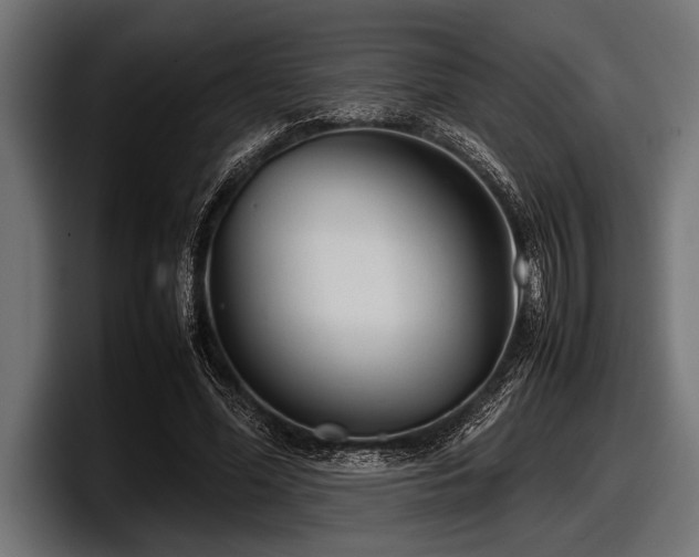 X0000097960588200803241215