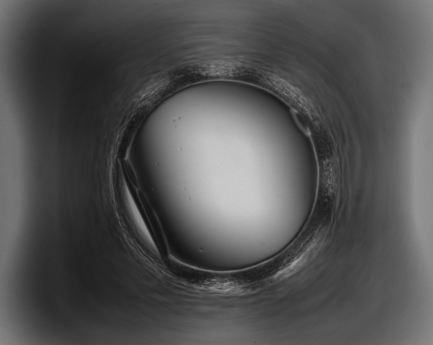 X0000097960589200803241215