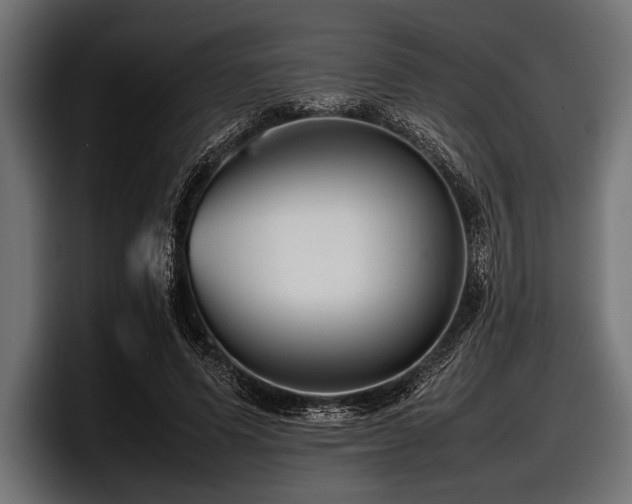 X0000097960591200803241215