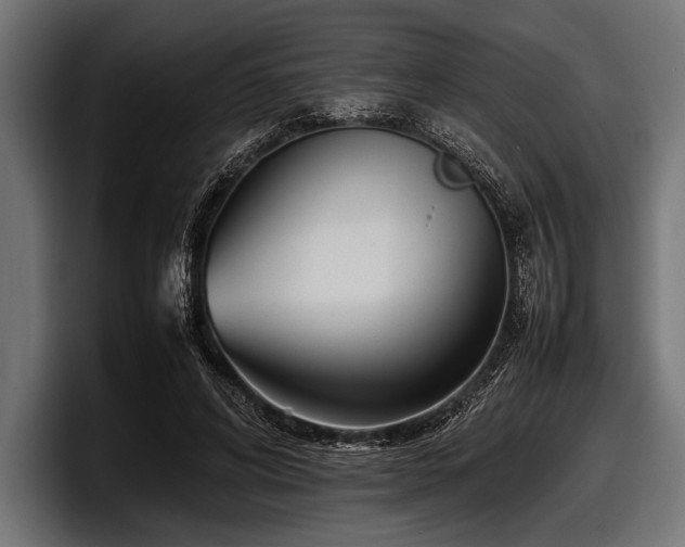 X0000097960592200803241215