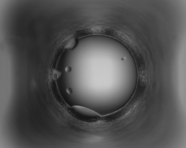 X0000097960593200803241215