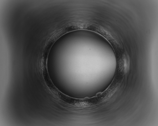 X0000097960594200803241215