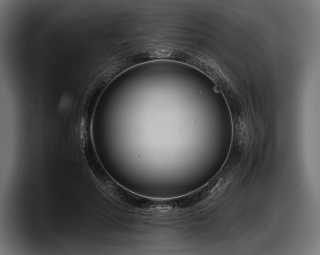 X0000097960598200803241215
