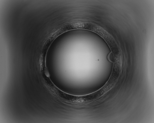 X0000097960600200803241215