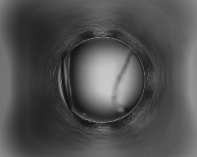 X0000097960601200803241215