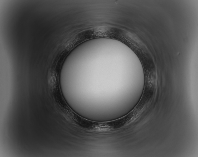 X0000097960603200803241215