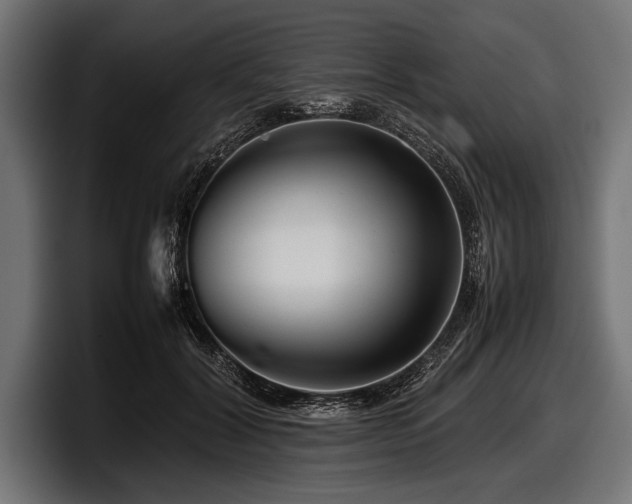 X0000097960604200803241215