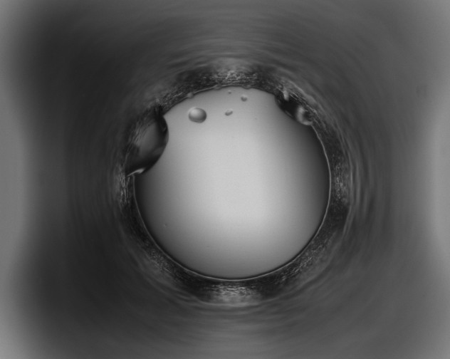 X0000097960605200803241215