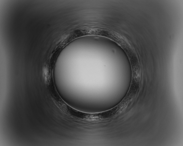 X0000097960607200803241215