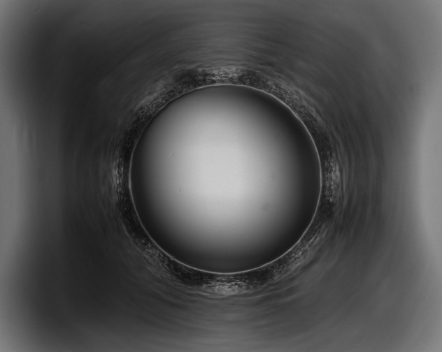 X0000097960608200803241215