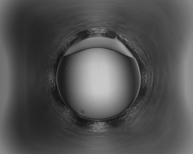 X0000097960609200803241215