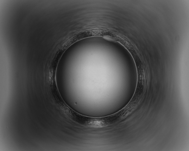X0000097960610200803241215