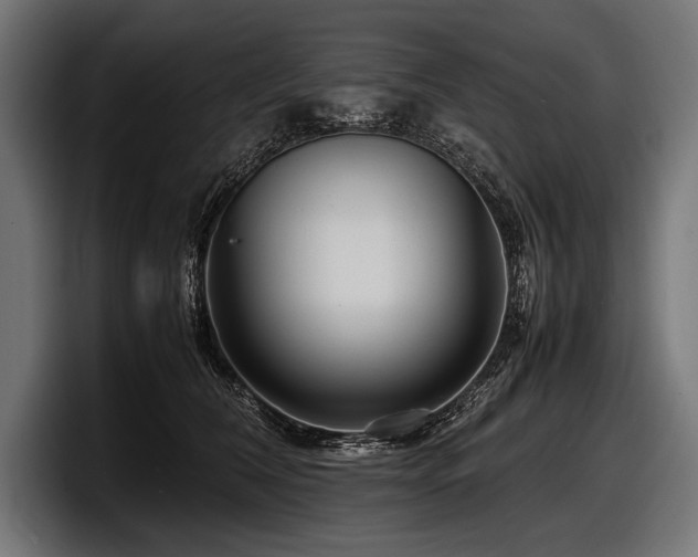 X0000097960612200803241215