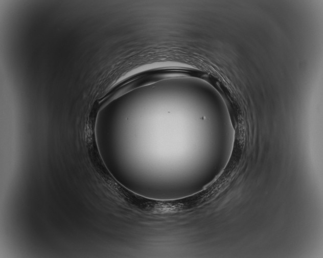 X0000097960613200803241215