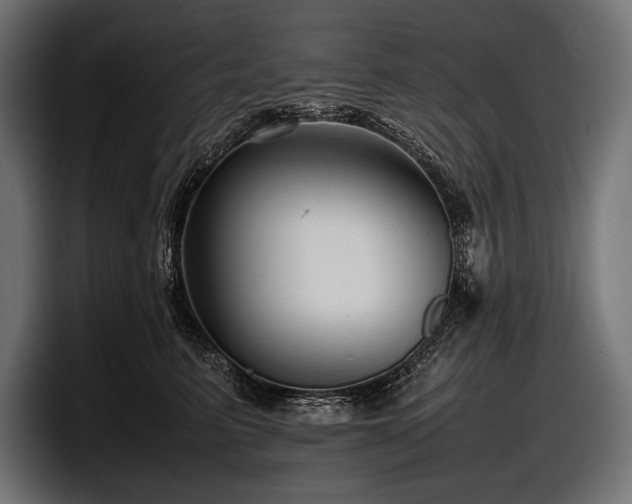 X0000097960615200803241215