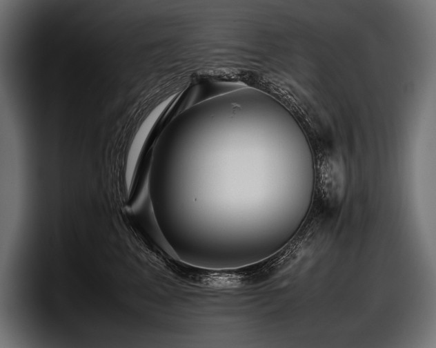 X0000097960617200803241215
