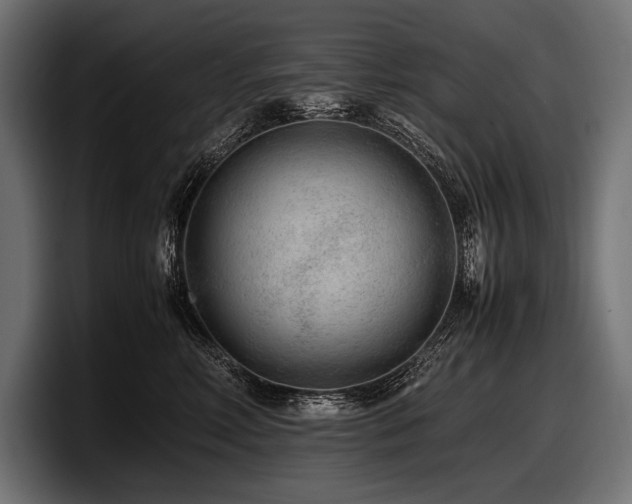 X0000097960618200803241215