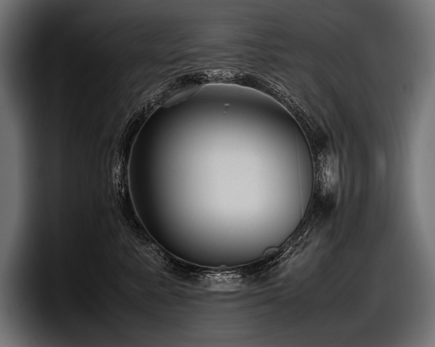 X0000097960619200803241215