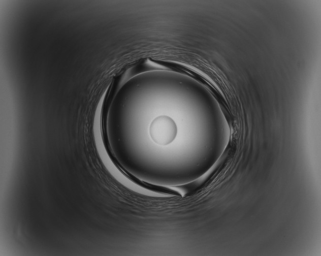 X0000097960621200803241215