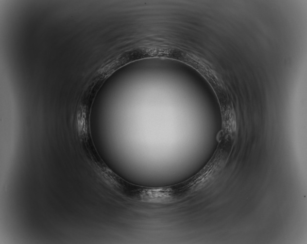 X0000097960622200803241215