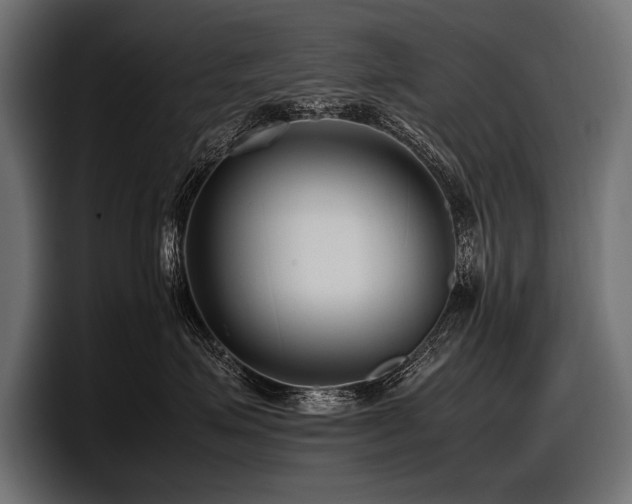 X0000097960623200803241215