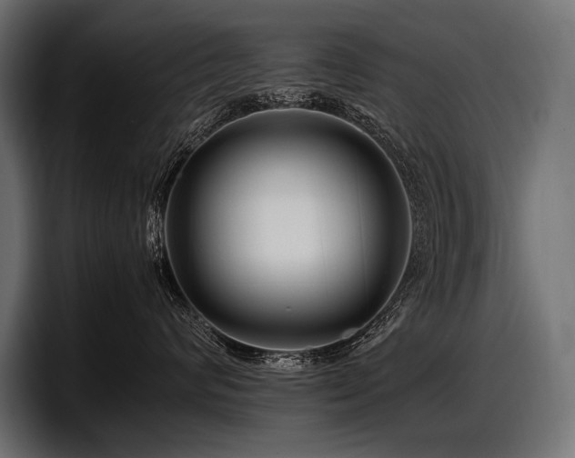 X0000097960624200803241215