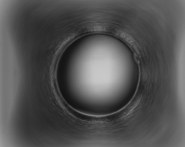 X0000097960625200803241214