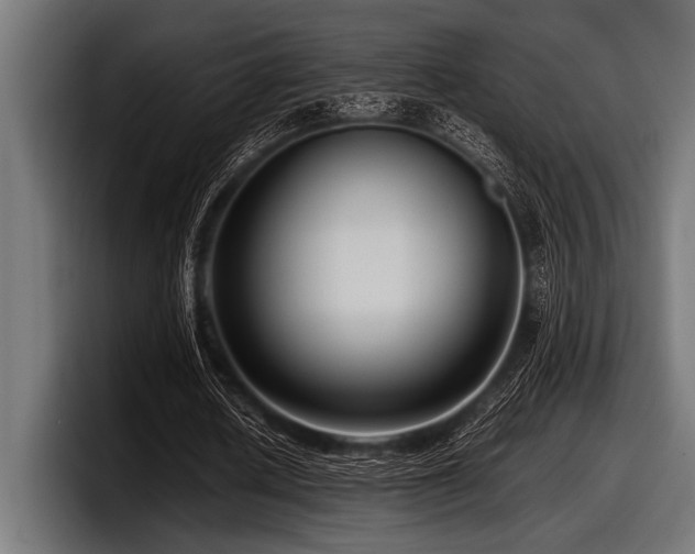 X0000097960626200803241214