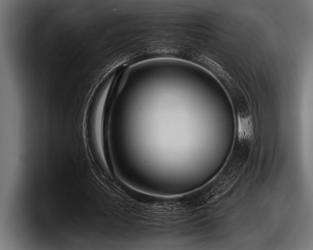 X0000097960627200803241214